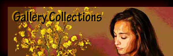 Gallery Collections