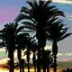 CA Palm Desert Sunset-2