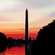 DC Washington Monument Ducks